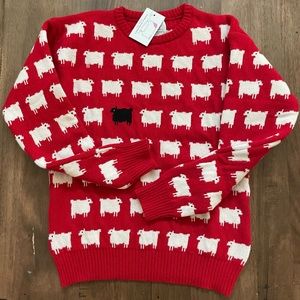 Warm & Wonderful black sheep wool sweater.